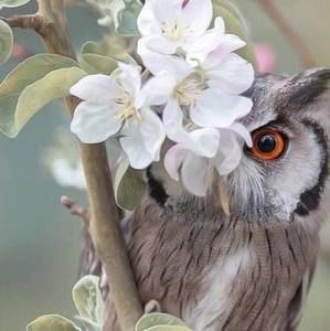 Meet your Posher, Estela